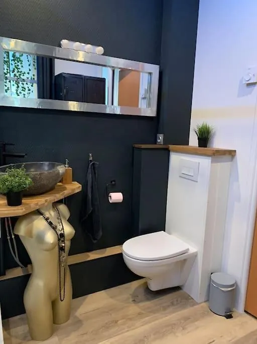 La Cle Des Plaisirs Apartment Chambery